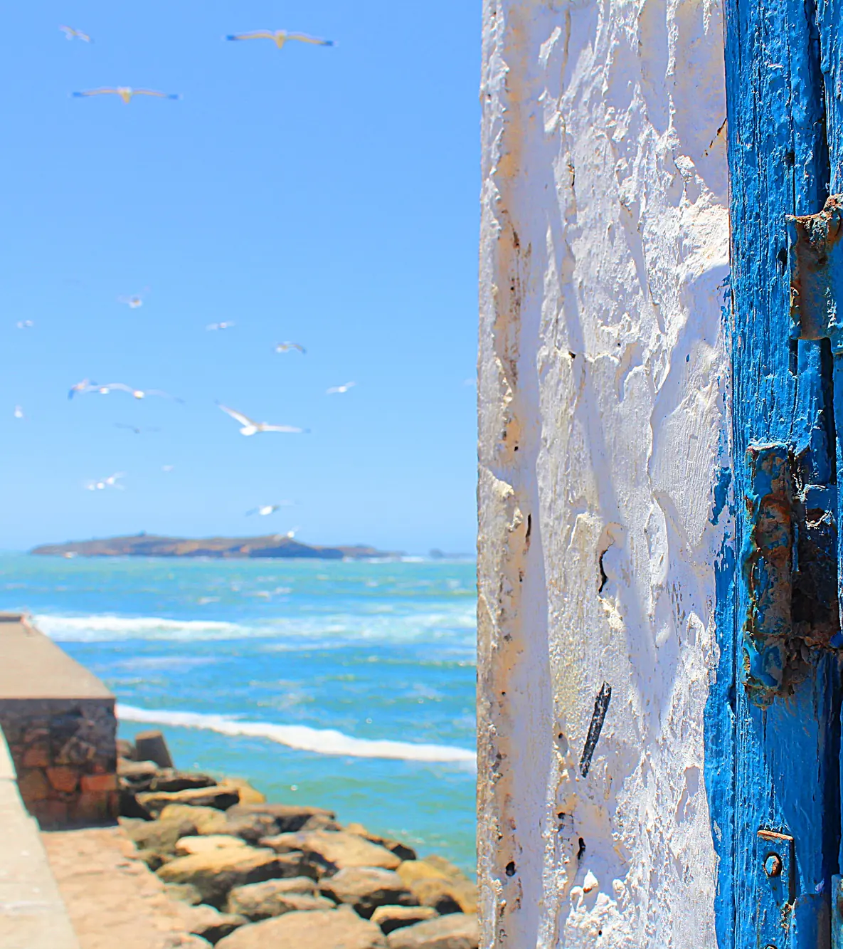 Muro encalado y contraventana azul frente al mar de Essaouira, con gaviotas y una isla al fondo